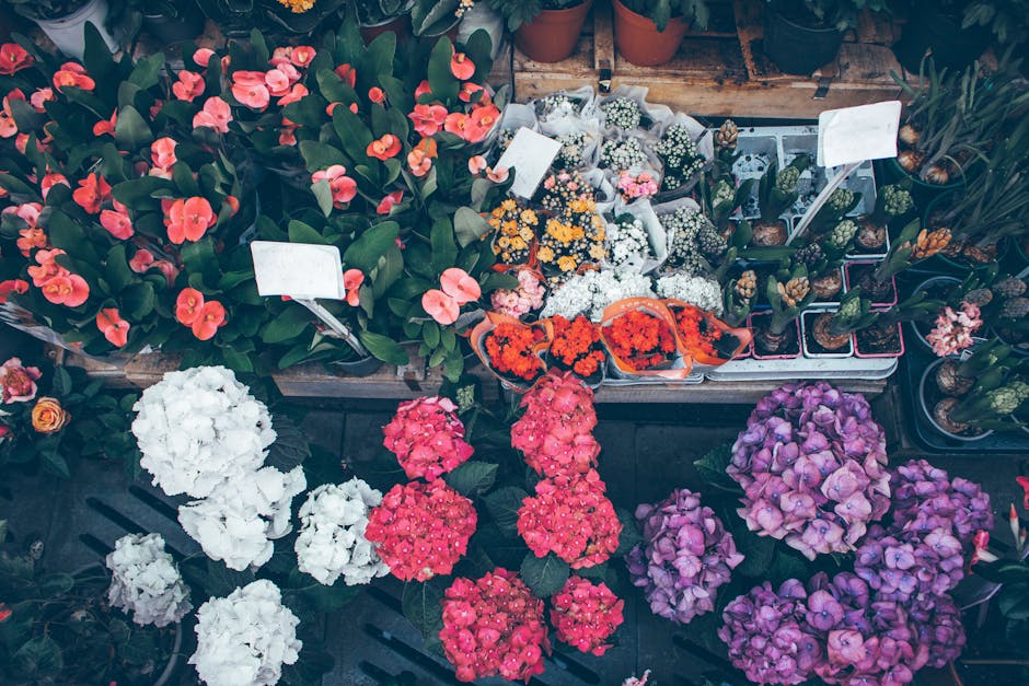 A display of various flowering plants and bouquets arranged on outdoor wooden shelves and tables. Prominent among them are vibrant red and pink hydrangeas with large, rounded clusters of petals, along